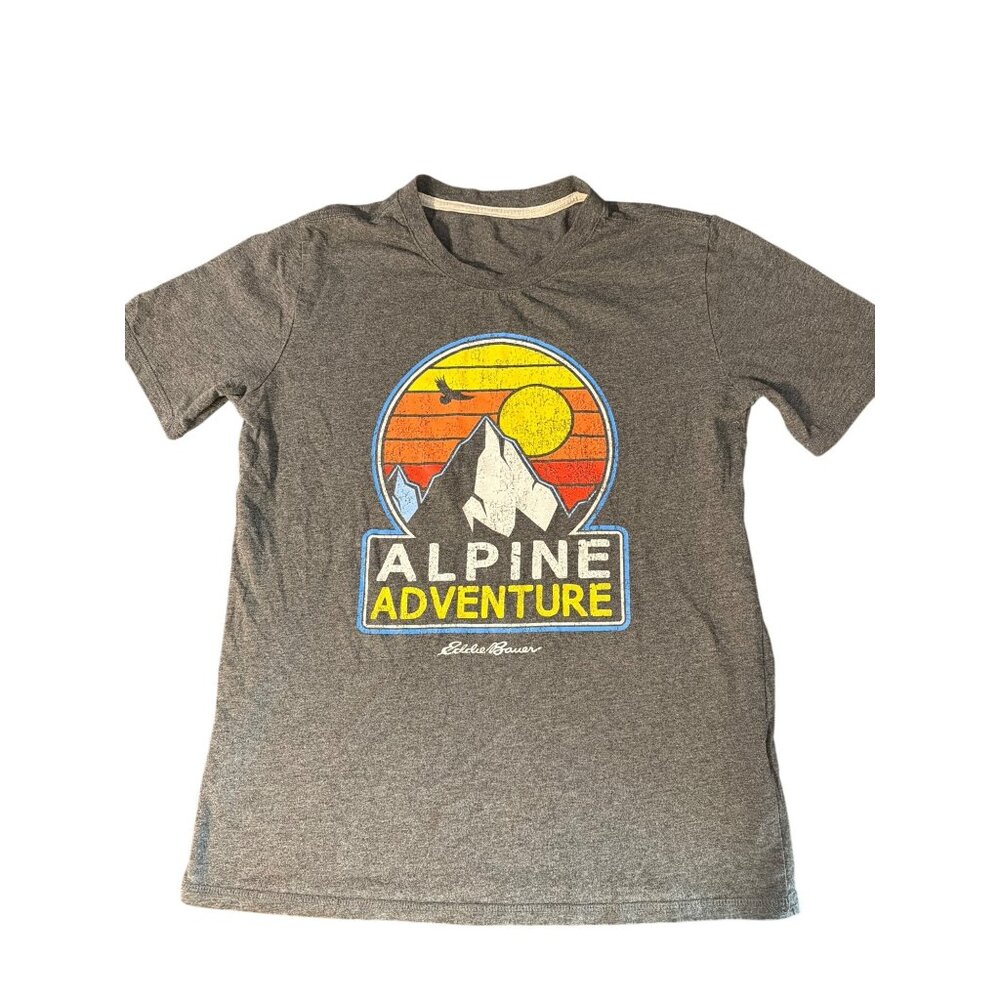 Eddie Bauer Alpine Adventure Graphic T Shirt Heather Grey Graphic Mountain READ